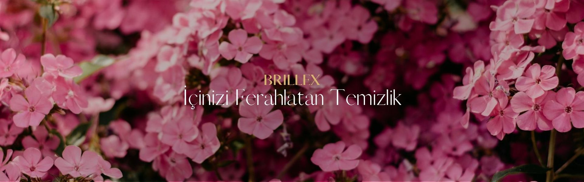 Brillex - Oğuz Türk Kimya