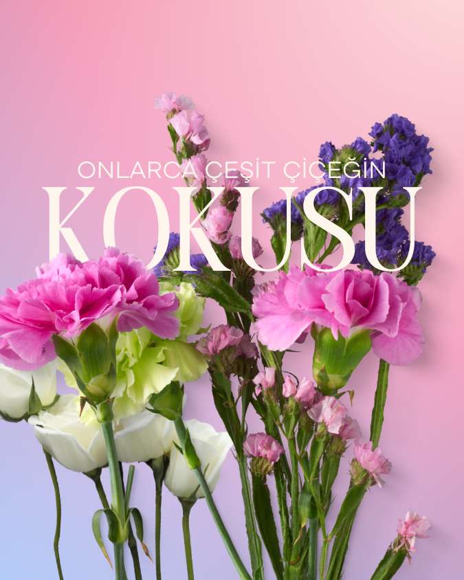 Oğuz Türk Kimya Hakkında